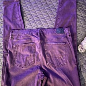 American Eagle Outfitters Maroon Stretch Pants